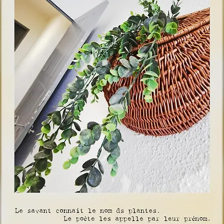 Sur Les Paves Du Pont Vieux...