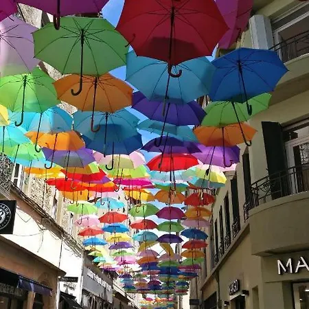 Sur Les Paves Du Pont Vieux... 卡尔卡松