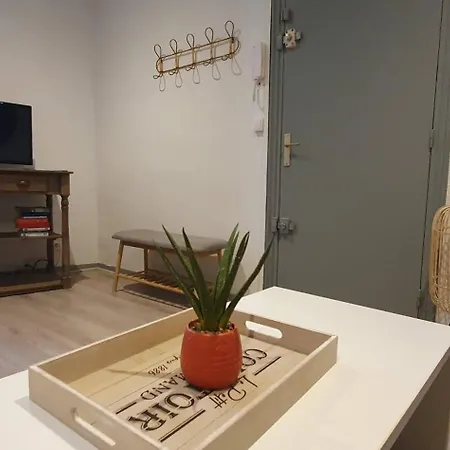 Sur Les Paves Du Pont Vieux... * 卡尔卡松