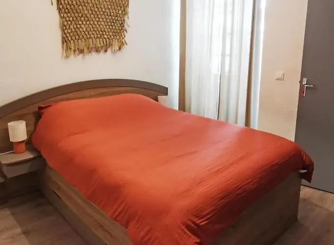 Apartament Sur Les Paves Du Pont Vieux...