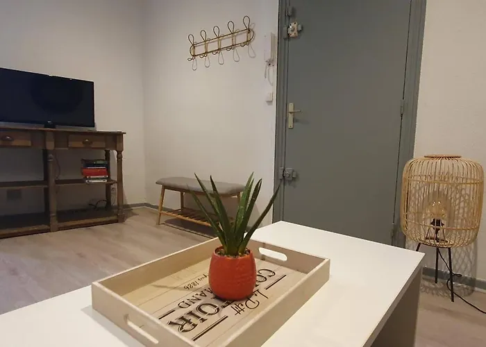 Sur Les Paves Du Pont Vieux... * カルカソンヌ